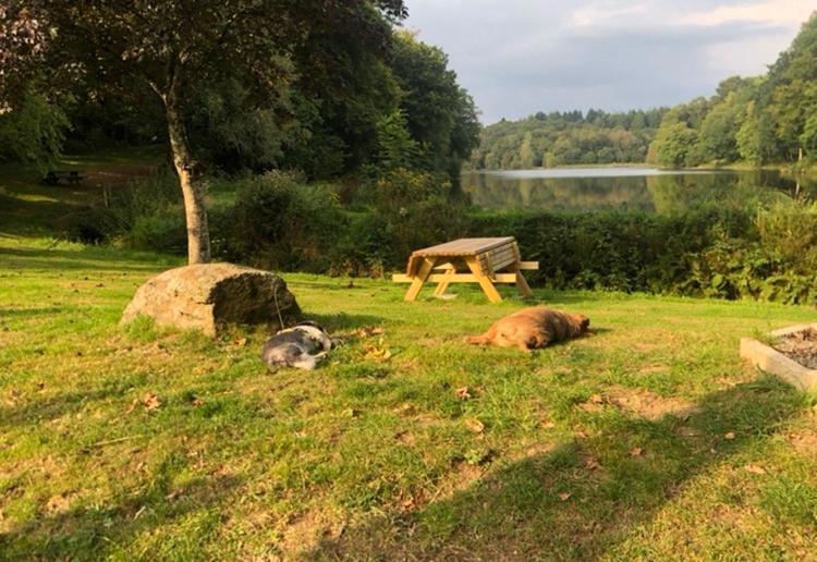 La Forge B&B Perret  Dış mekan fotoğraf
